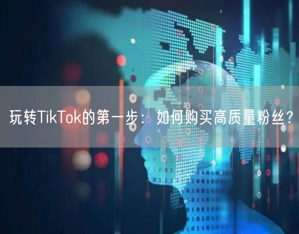 玩转TikTok的第一步：如何购买高质量粉丝？