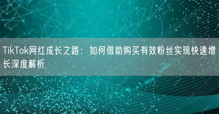 TikTok网红成长之路：如何借助购买有效粉丝实现快速增长深度解析