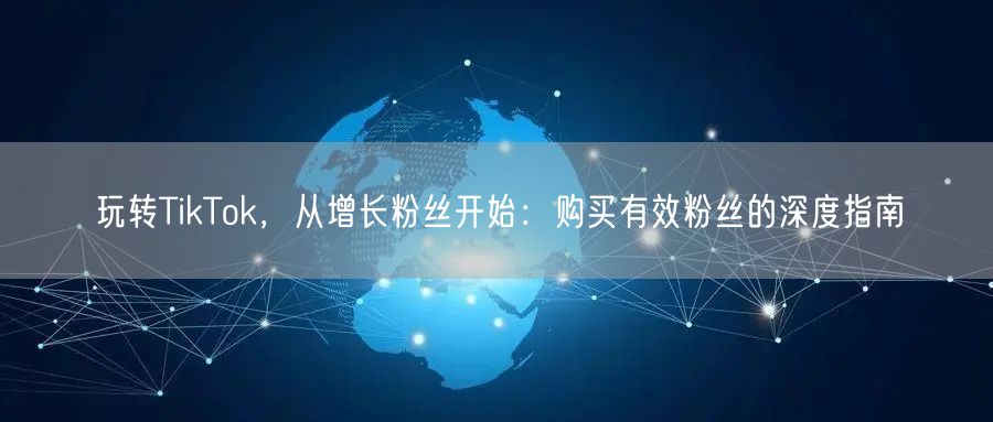 玩转TikTok，从增长粉丝开始：购买有效粉丝的深度指南