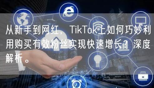 从新手到网红，TikTok上如何巧妙利用购买有效粉丝实现快速增长？深度解析。