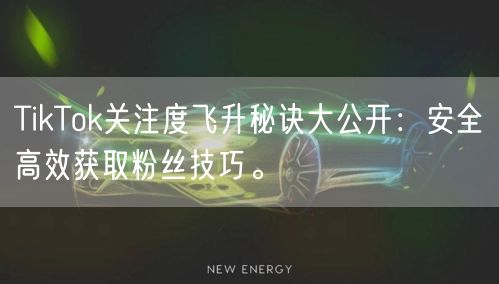 TikTok关注度飞升秘诀大公开：安全高效获取粉丝技巧。