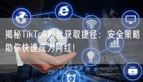 揭秘TikTok粉丝获取捷径：安全策略助你快速成为网红！