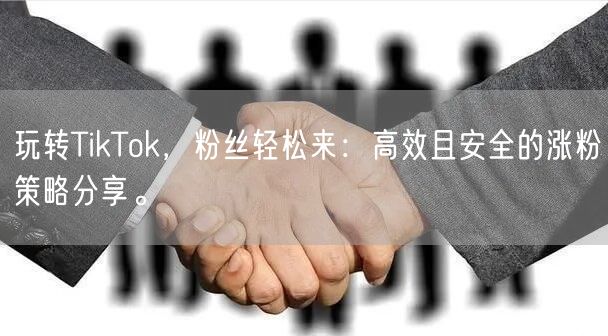 玩转TikTok，粉丝轻松来：高效且安全的涨粉策略分享。