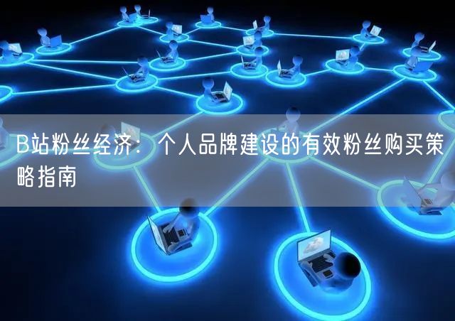 B站粉丝经济：个人品牌建设的有效粉丝购买策略指南