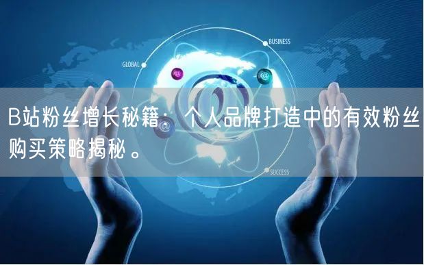 B站粉丝增长秘籍：个人品牌打造中的有效粉丝购买策略揭秘。