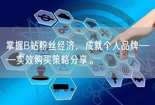 掌握B站粉丝经济，成就个人品牌——实效购买策略分享。