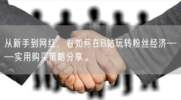 从新手到网红，看如何在B站玩转粉丝经济——实用购买策略分享。