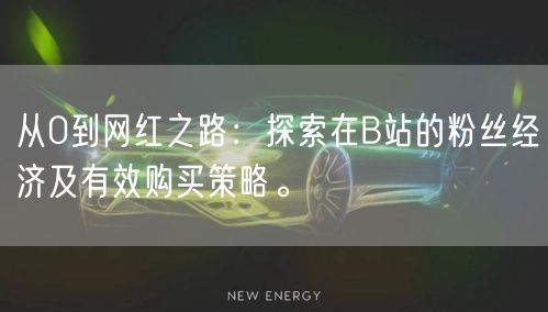 从0到网红之路：探索在B站的粉丝经济及有效购买策略。
