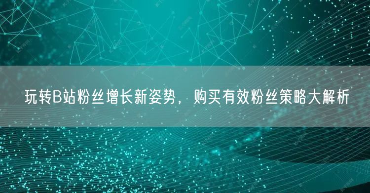 玩转B站粉丝增长新姿势，购买有效粉丝策略大解析
