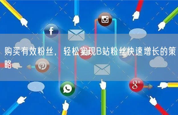购买有效粉丝，轻松实现B站粉丝快速增长的策略