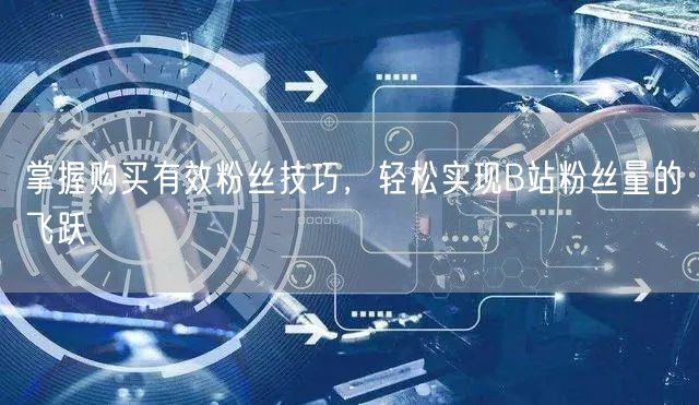 掌握购买有效粉丝技巧，轻松实现B站粉丝量的飞跃