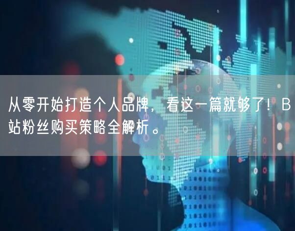 从零开始打造个人品牌，看这一篇就够了！B站粉丝购买策略全解析。