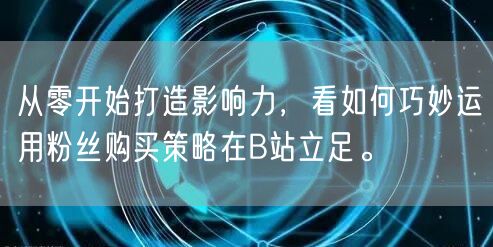 从零开始打造影响力，看如何巧妙运用粉丝购买策略在B站立足。