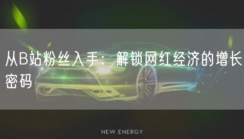 从B站粉丝入手：解锁网红经济的增长密码