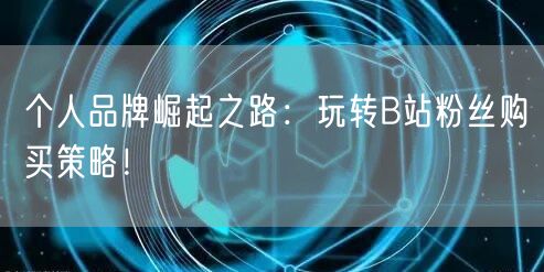 个人品牌崛起之路：玩转B站粉丝购买策略！