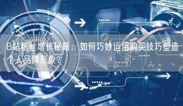 B站粉丝增长秘籍：如何巧妙运用购买技巧塑造个人品牌形象？