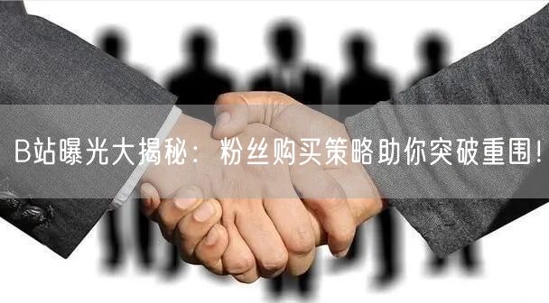 B站曝光大揭秘：粉丝购买策略助你突破重围！
