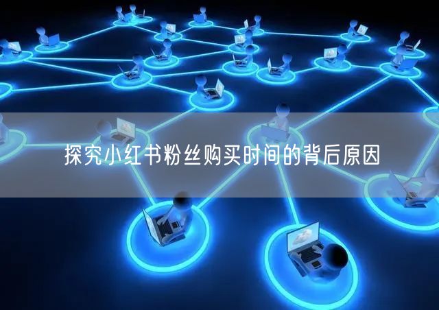 探究小红书粉丝购买时间的背后原因