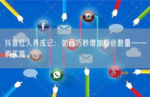 抖音红人养成记：如何巧妙增加粉丝数量——购买篇。