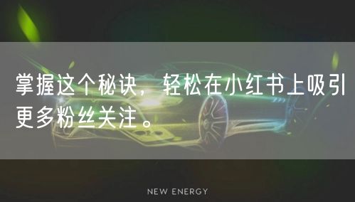 掌握这个秘诀，轻松在小红书上吸引更多粉丝关注。