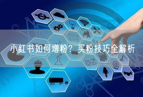 小红书如何增粉？买粉技巧全解析
