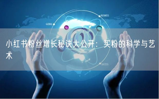 小红书粉丝增长秘诀大公开：买粉的科学与艺术