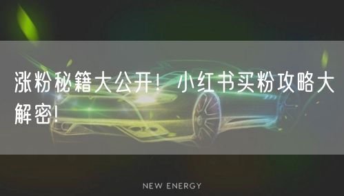 涨粉秘籍大公开！小红书买粉攻略大解密!