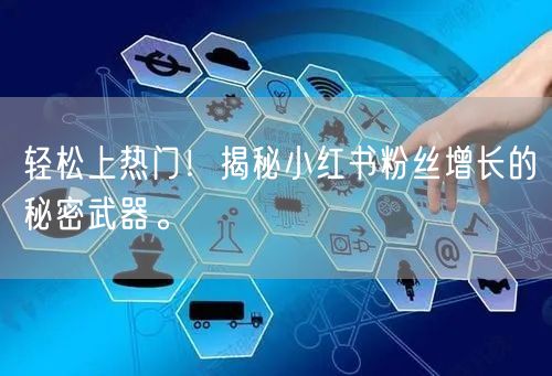 轻松上热门！揭秘小红书粉丝增长的秘密武器。