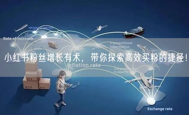 小红书粉丝增长有术，带你探索高效买粉的捷径！