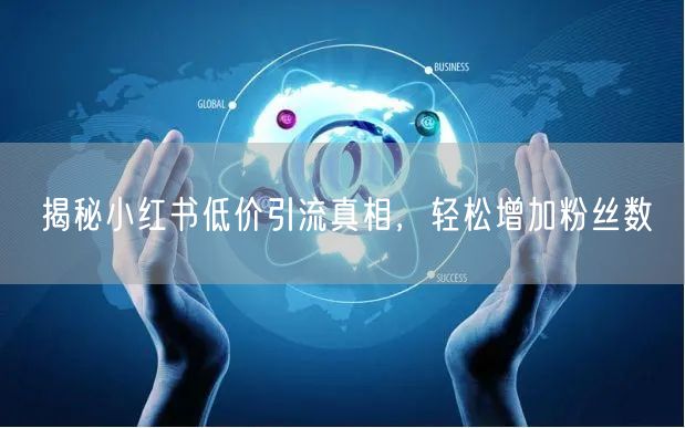 揭秘小红书低价引流真相，轻松增加粉丝数