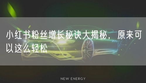 小红书粉丝增长秘诀大揭秘，原来可以这么轻松