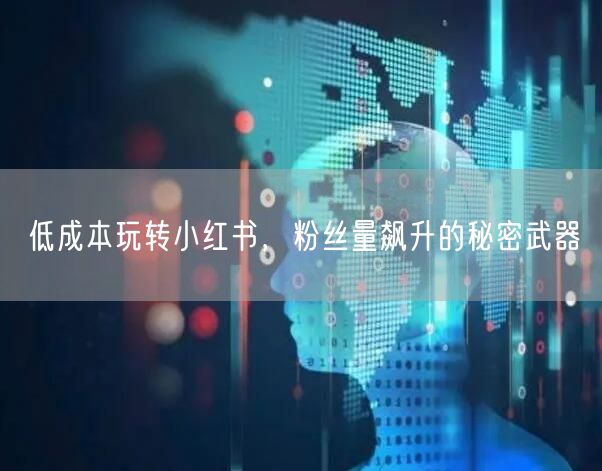 低成本玩转小红书，粉丝量飙升的秘密武器