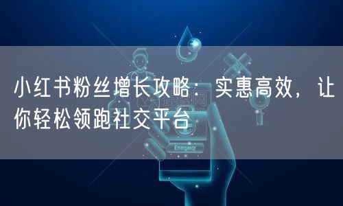 小红书粉丝增长攻略：实惠高效，让你轻松领跑社交平台