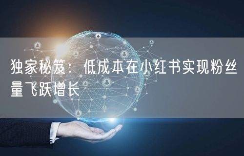 独家秘笈：低成本在小红书实现粉丝量飞跃增长