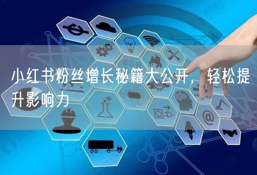 小红书粉丝增长秘籍大公开，轻松提升影响力