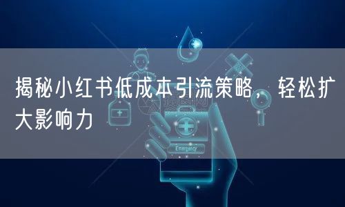 揭秘小红书低成本引流策略，轻松扩大影响力