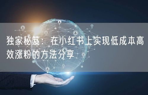 独家秘笈：在小红书上实现低成本高效涨粉的方法分享
