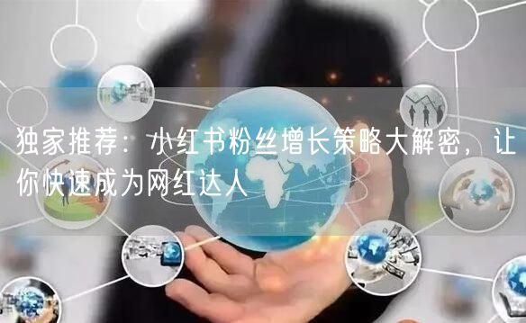 独家推荐：小红书粉丝增长策略大解密，让你快速成为网红达人