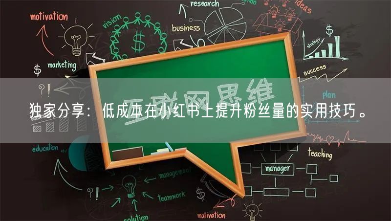 独家分享：低成本在小红书上提升粉丝量的实用技巧。