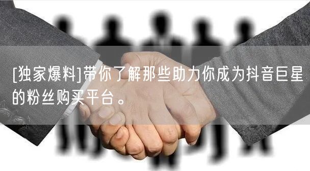 [独家爆料]带你了解那些助力你成为抖音巨星的粉丝购买平台。