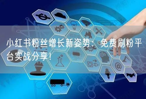 小红书粉丝增长新姿势：免费刷粉平台实战分享！