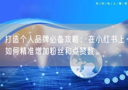 打造个人品牌必备攻略：在小红书上如何精准增加粉丝和点赞数。