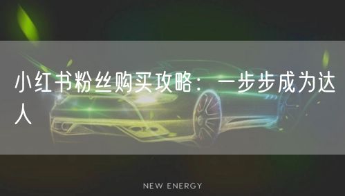 小红书粉丝购买攻略：一步步成为达人