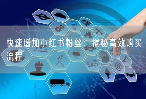 快速增加小红书粉丝：揭秘高效购买流程