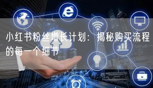 小红书粉丝增长计划：揭秘购买流程的每一个细节