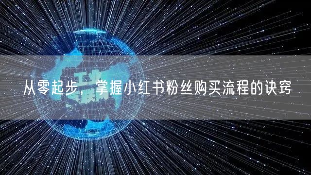 从零起步，掌握小红书粉丝购买流程的诀窍