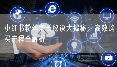 小红书粉丝增长秘诀大揭秘：高效购买流程全解析