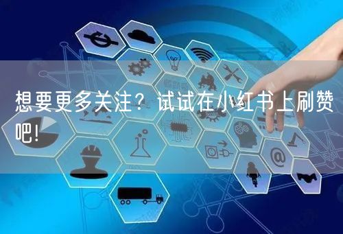 想要更多关注？试试在小红书上刷赞吧!