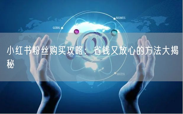 小红书粉丝购买攻略：省钱又放心的方法大揭秘