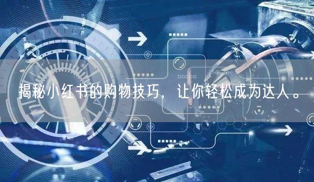 揭秘小红书的购物技巧，让你轻松成为达人。